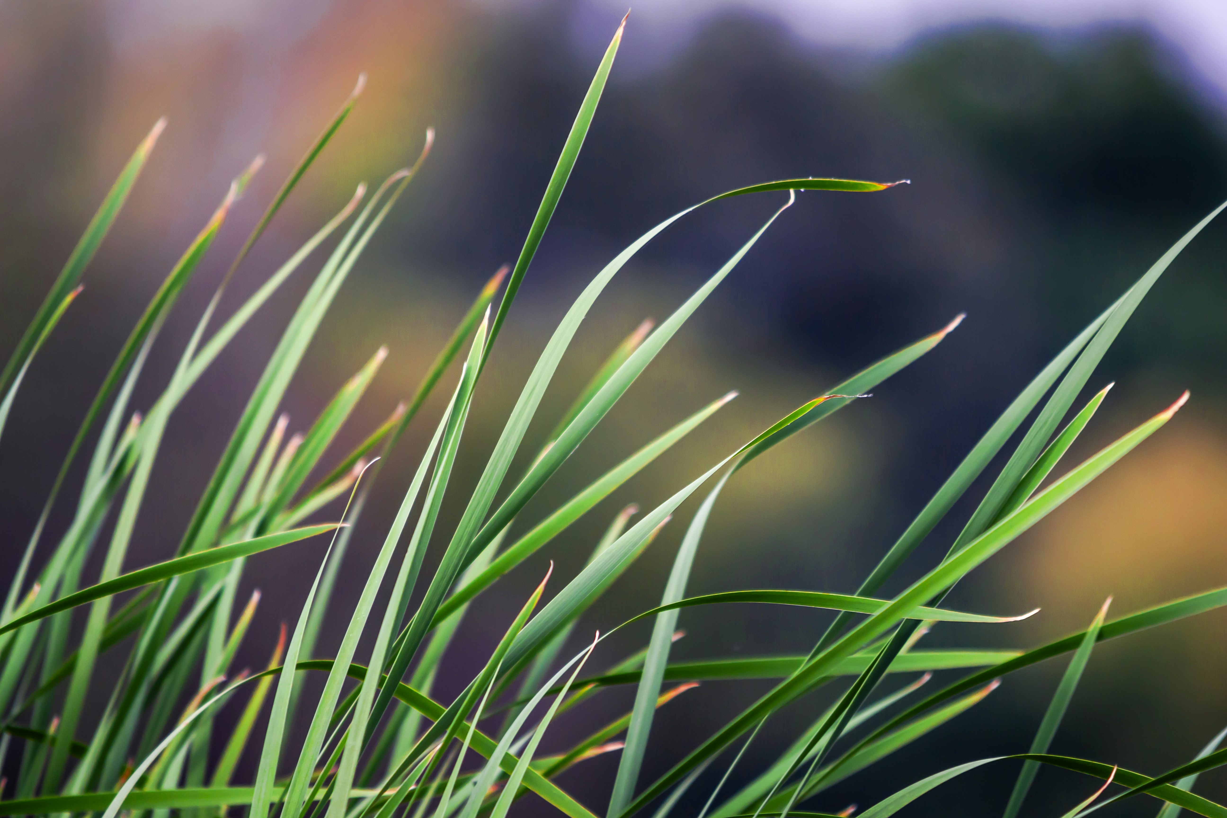 Photo by princeabid708