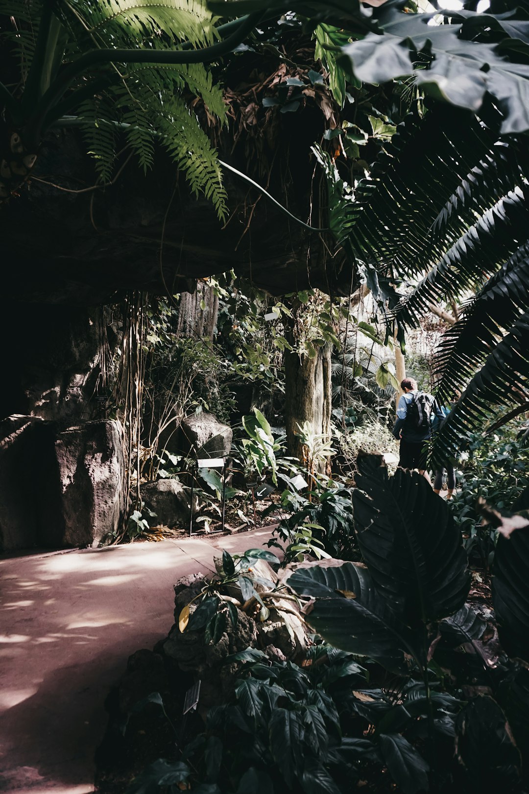 Jungle photo spot Brooklyn Botanic Garden Brooklyn