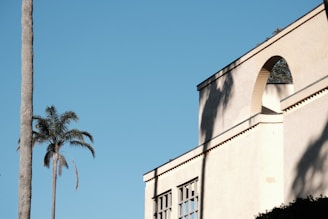 A minimalistic architectural scene featuring a pale building with geometric shapes, such as an arch and rectangular windows. Shadows cast by nearby trees are visible on the building's surface. A tall palm tree stands in the foreground against a clear blue sky, adding contrast and a hint of nature to the urban setting.