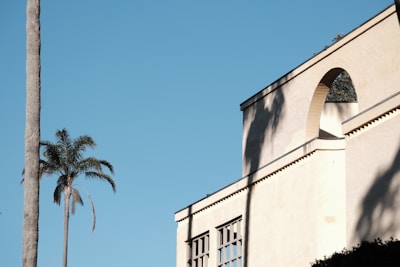A minimalistic architectural scene featuring a pale building with geometric shapes, such as an arch and rectangular windows. Shadows cast by nearby trees are visible on the building's surface. A tall palm tree stands in the foreground against a clear blue sky, adding contrast and a hint of nature to the urban setting.