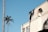 A minimalistic architectural scene featuring a pale building with geometric shapes, such as an arch and rectangular windows. Shadows cast by nearby trees are visible on the building's surface. A tall palm tree stands in the foreground against a clear blue sky, adding contrast and a hint of nature to the urban setting.