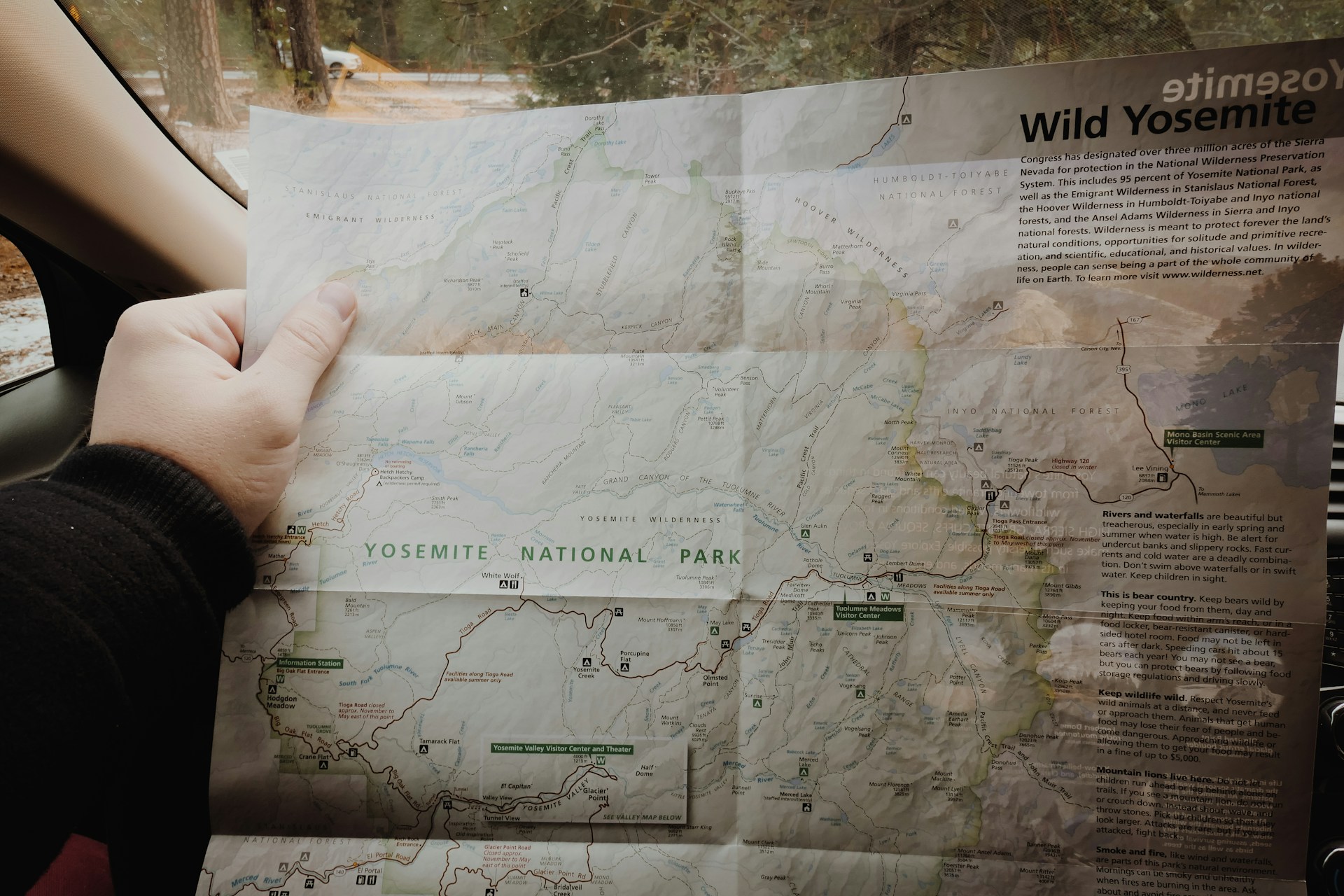 gray computer monitor