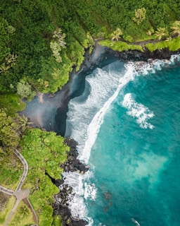 Aerial view of a coastal area featuring lush green vegetation, a black sand beach, and turquoise ocean waves crashing onto the shore. A path with a wooden railing winds through the greenery.