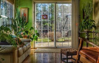 green-leafed plant in home
