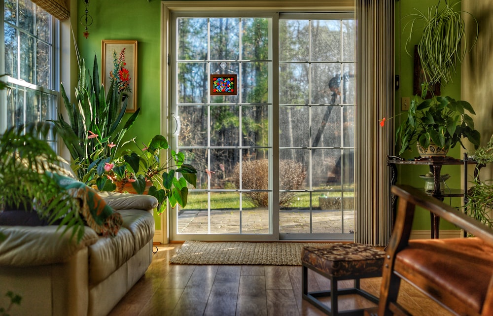 green-leafed plant in home