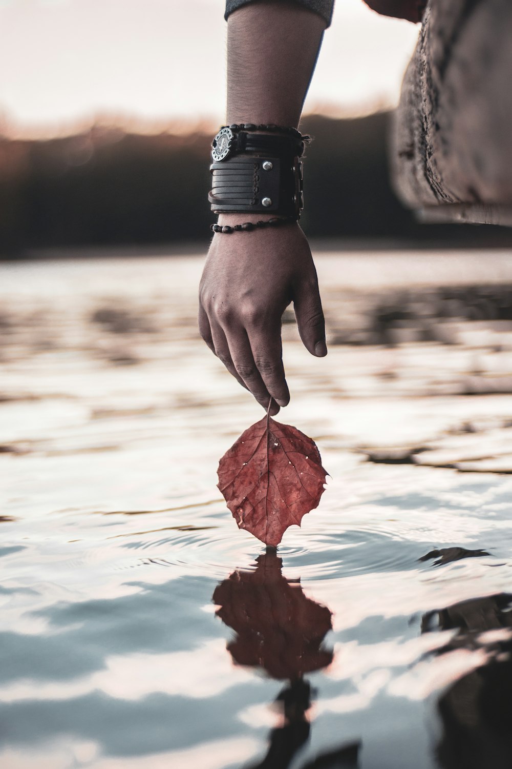 person holding red leaf above calm water