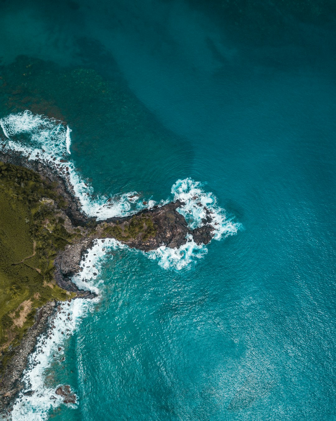 Coast photo spot Honolua Bay Lahaina