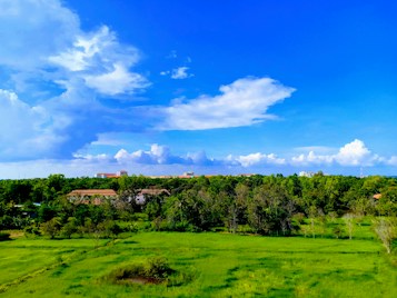 A vibrant landscape with lush green fields in the foreground, surrounded by dense trees. Several buildings are visible in the background, partially concealed by the foliage. The sky is bright blue, adorned with fluffy white clouds, creating a serene and expansive atmosphere.