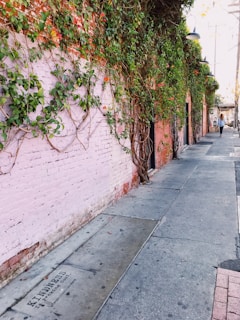 A narrow urban sidewalk lined with a brick wall covered in dense, leafy green vines, some of which have small, red flowers. The sidewalk and wall extend into the distance, with overhead street lamps visible along the pathway. There is a faded stencil on the sidewalk that reads 'KINDNESS is power.' A person is seen walking in the distance.