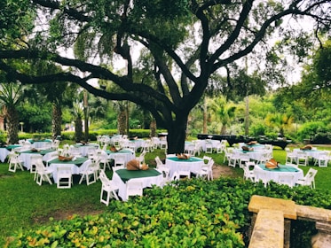 Lush green lawns set up for a corporate outing with elegant seating and natural surroundings.