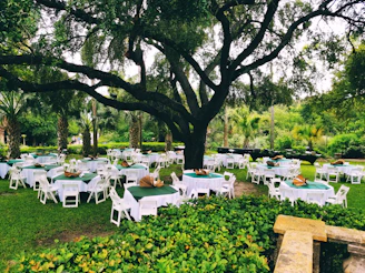 A serene event setup featuring soft sage green linens, delicate eucalyptus centerpieces, and warm natural light filtering through leafy branches.