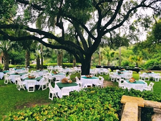 A picturesque outdoor setting with several round tables covered with white tablecloths and green table runners, arranged on a lush green lawn under a large, shading tree. Each table has several white chairs around it and appears to be set up for an event. The surrounding area is filled with various types of green foliage and palm trees, creating a serene, natural atmosphere.