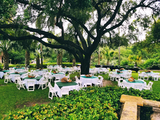 A serene event setup featuring soft sage green linens, delicate eucalyptus centerpieces, and warm natural light filtering through leafy branches.