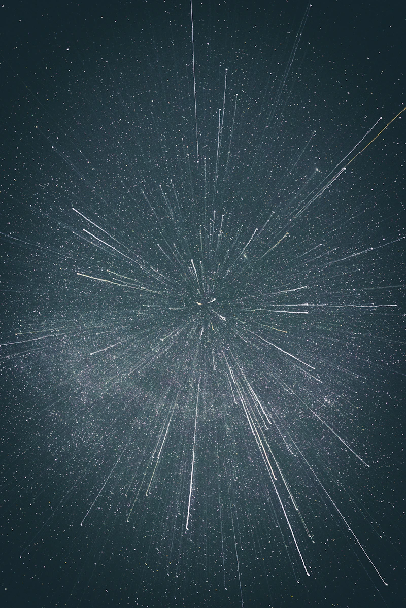 Photo by Casey Horner