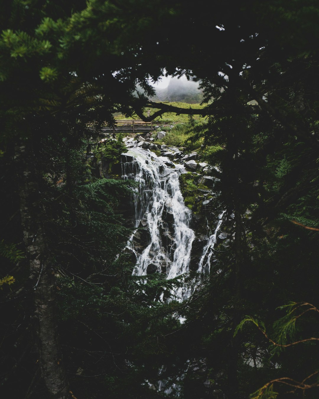 Waterfall photo spot Mount Rainier National Park Gifford Pinchot National Forest