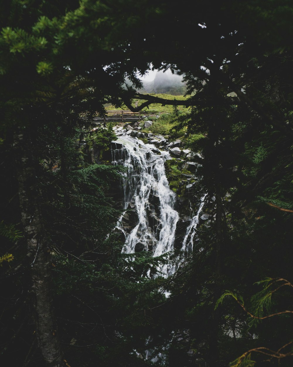 waterfalls near green leafed trees