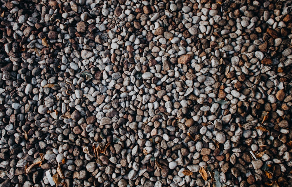 white and brown pebble closeup photo