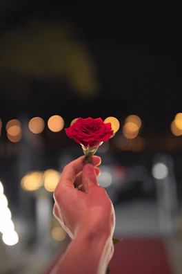 A close-up of a woman’s hand holding a single red rose with Parisian street lights glowing softly behind.