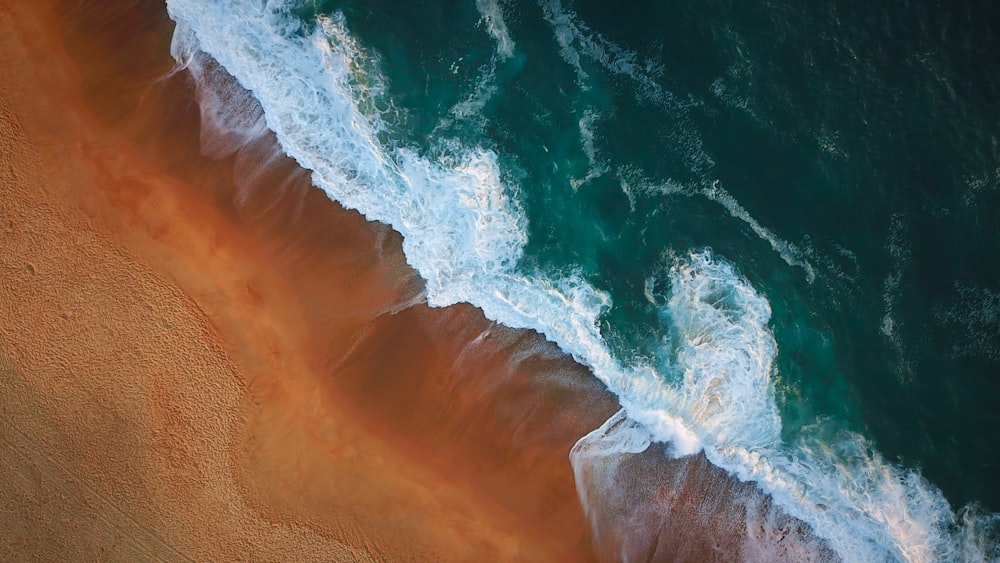 aerial photography of seashore during daytime