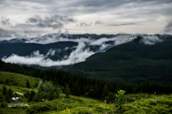 Clouds rolling low over dense green forests of Kodaikanal