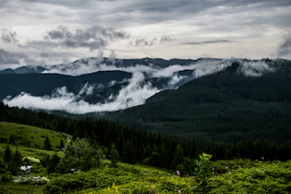 Clouds rolling low over dense green forests of Kodaikanal