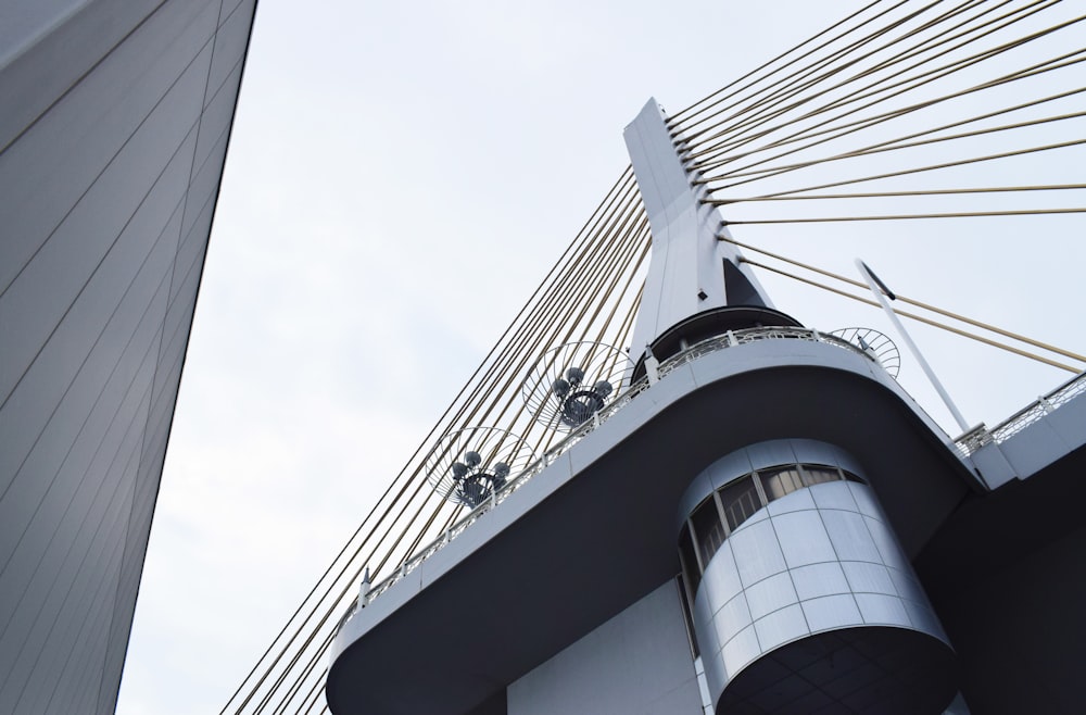 low-angle photography of cable-stayed bridge