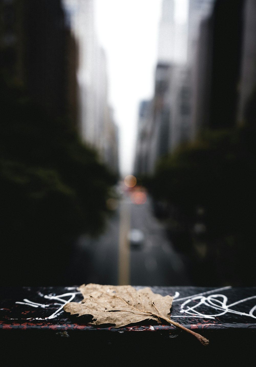 Fotografía de enfoque selectivo de hoja marchita