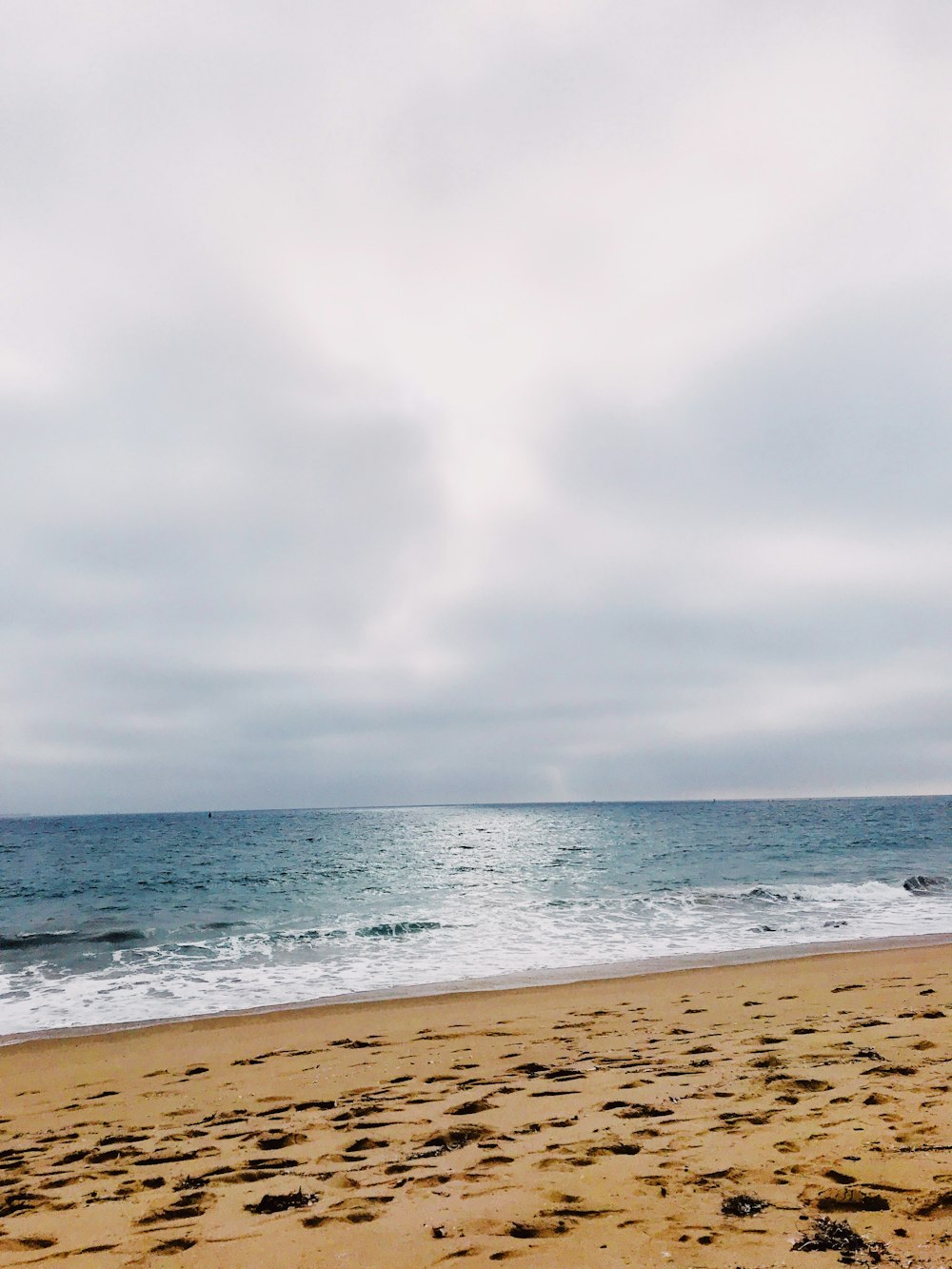 seashore during daytime