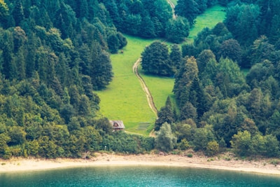 A serene landscape featuring a small wooden cabin nestled in a lush green forest. A narrow dirt path leads from the cabin, winding through the vibrant green meadow surrounded by dense trees. In the foreground, a tranquil body of water glistens under the light, providing a contrasting blue hue to the predominant green of the scene. The entire setting is enveloped in an atmosphere of tranquility and seclusion.