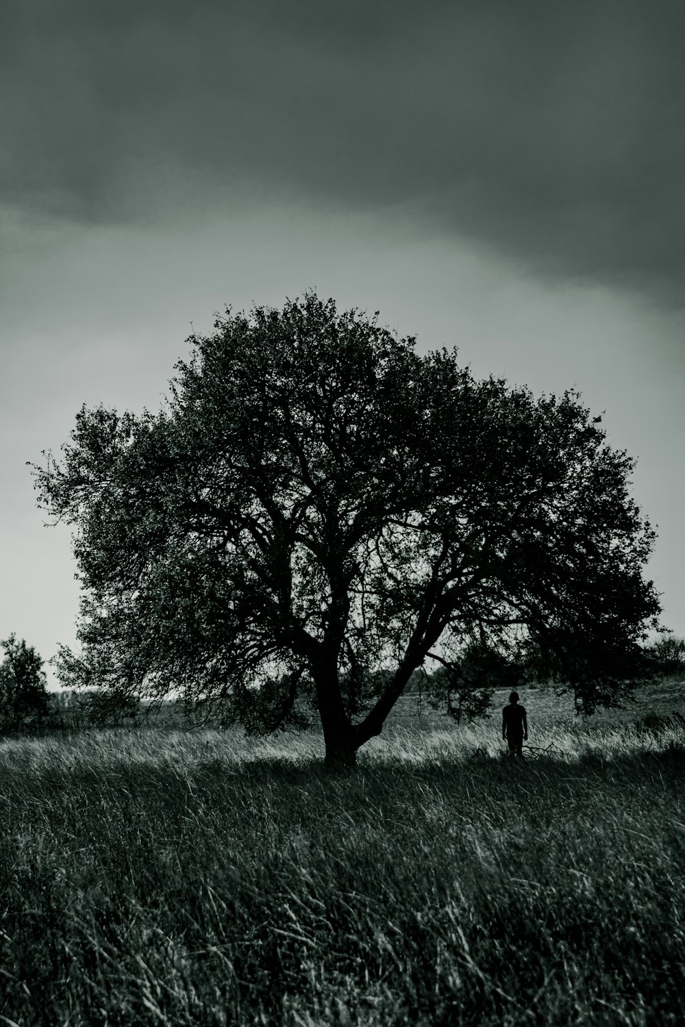 Persona de pie debajo de un árbol