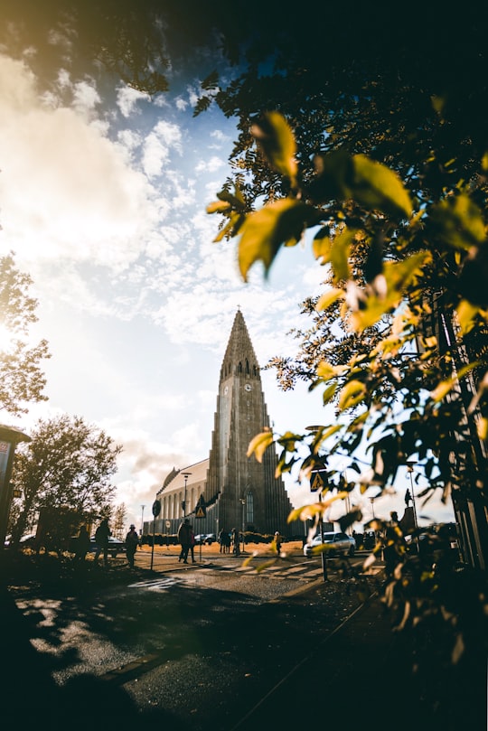 cathedral in Hallgrimskirkja Iceland
