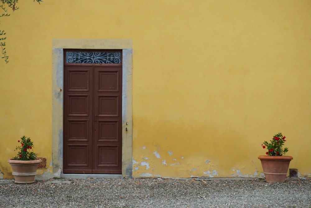 closed brown wooden door near flower pots