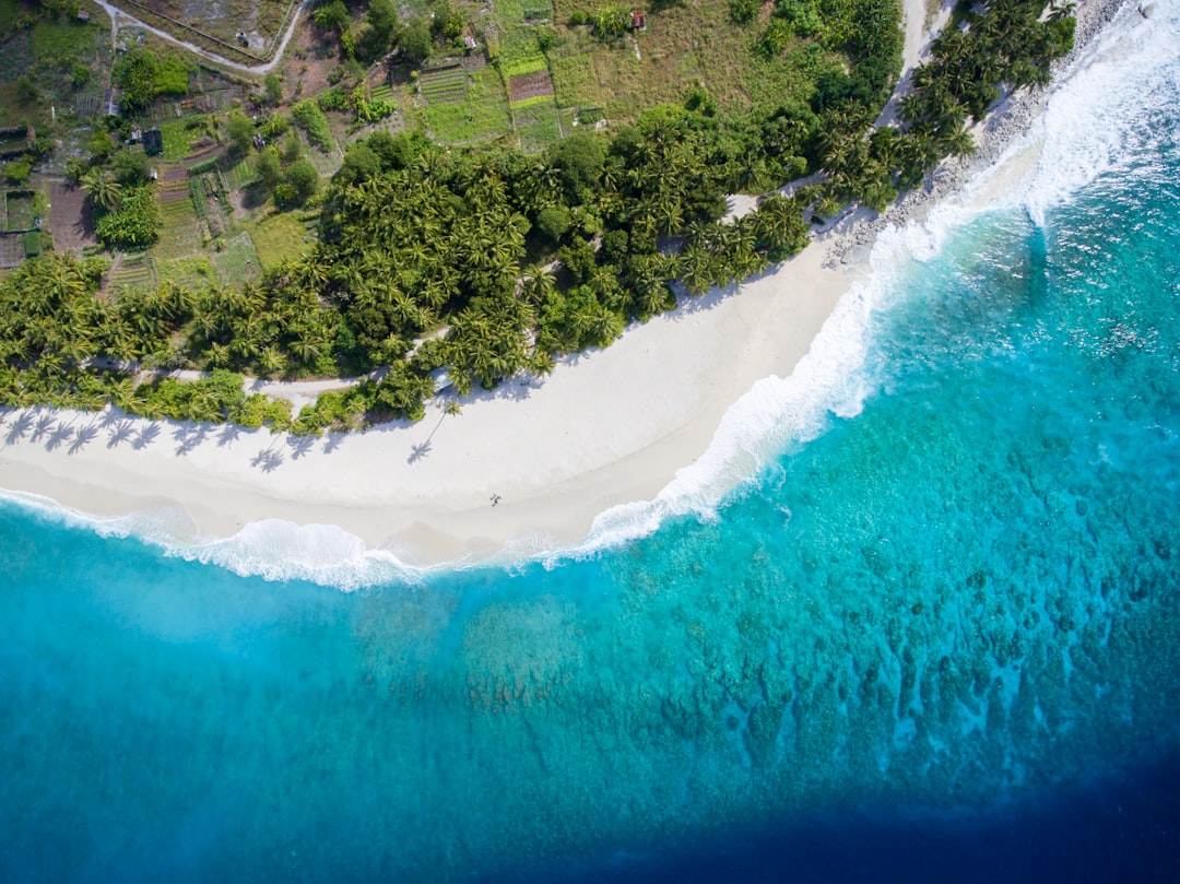 areal view photography of body of water