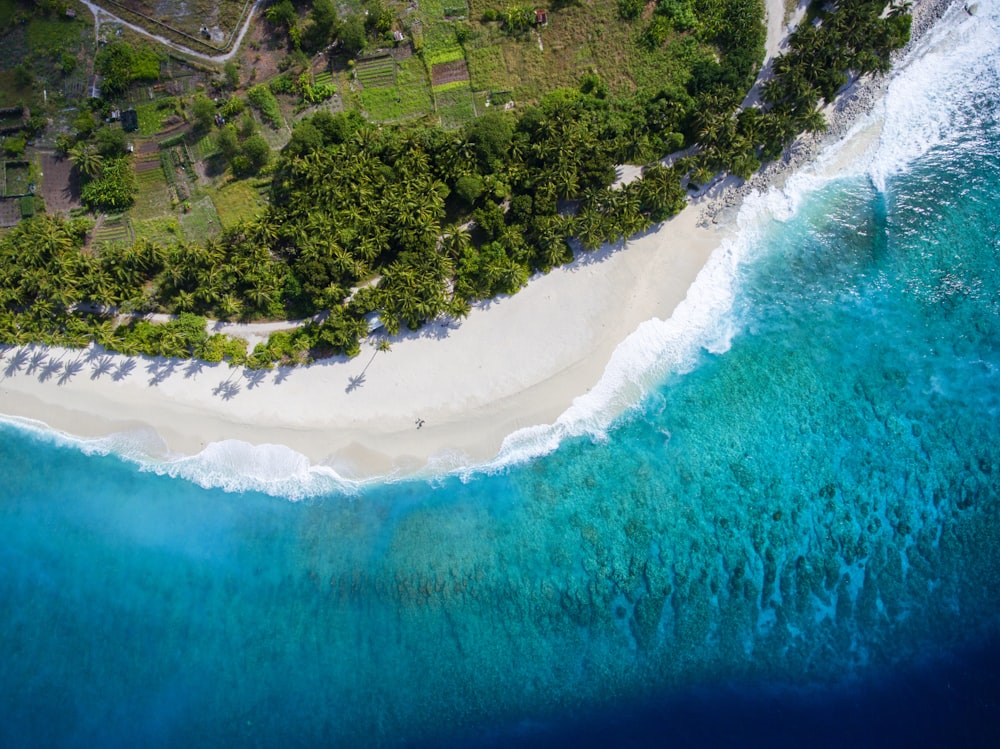 Fotografía de vista aérea de un cuerpo de agua