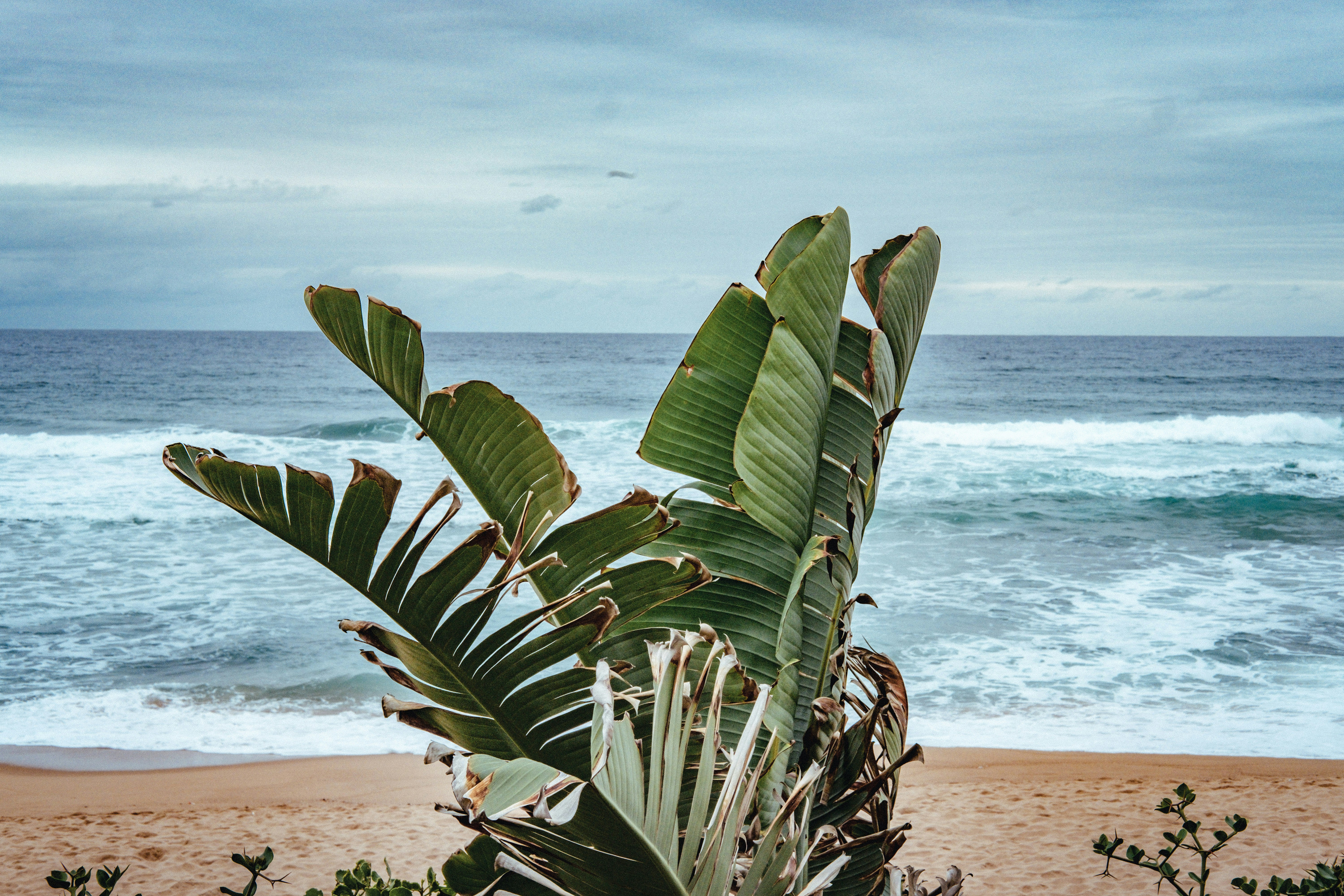 探索绿色生活，国外网站带你走进可持续发展的世界