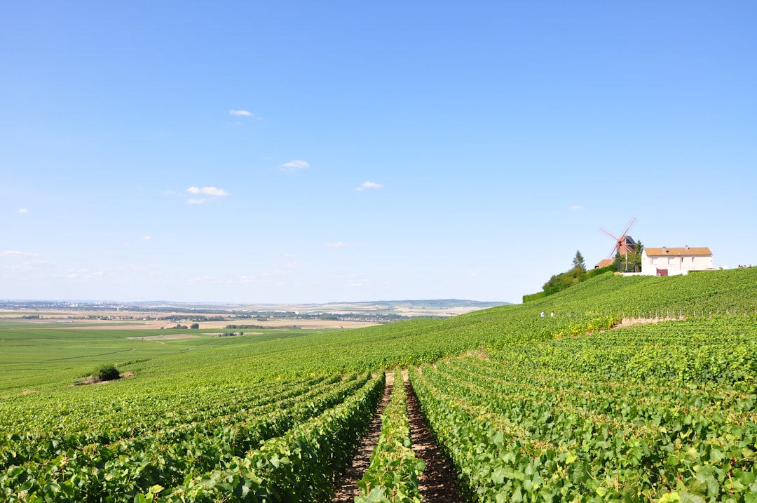 travelers stories about Hill station in Ludes, France