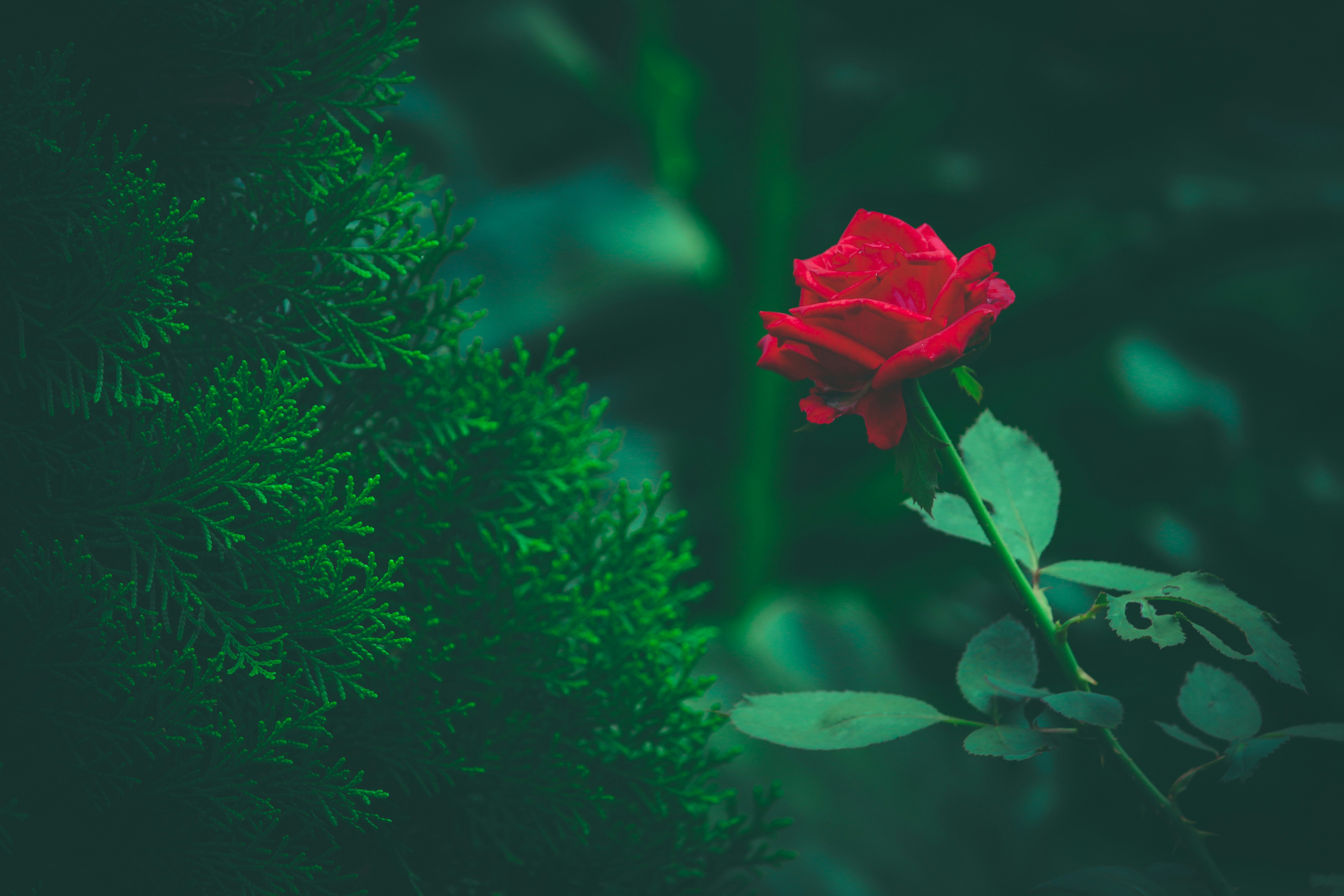 Photo by skyunusali