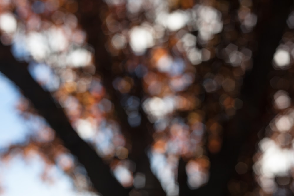 a blurry picture of a tree with a blue sky in the background