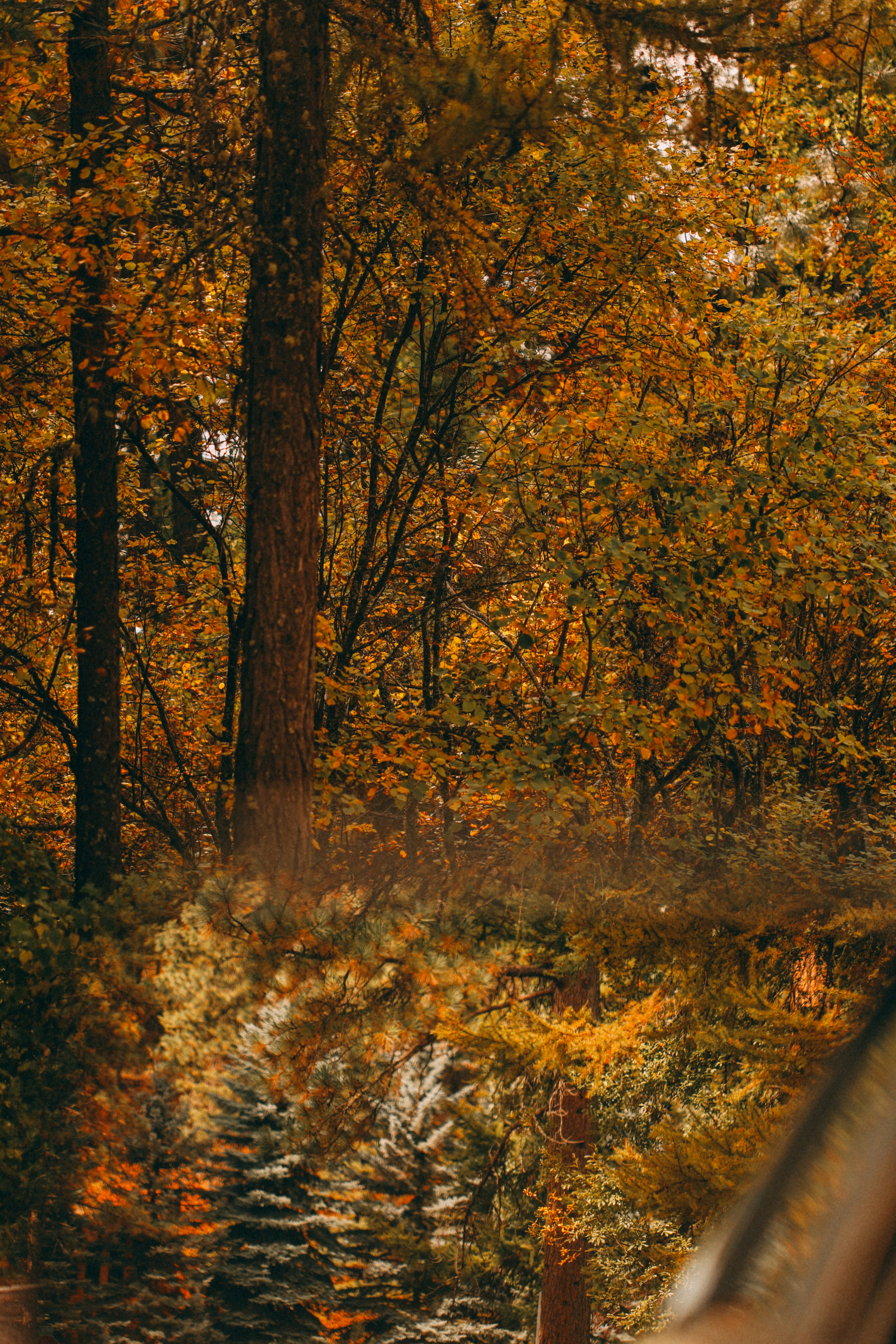 Photo by marsupialpudding