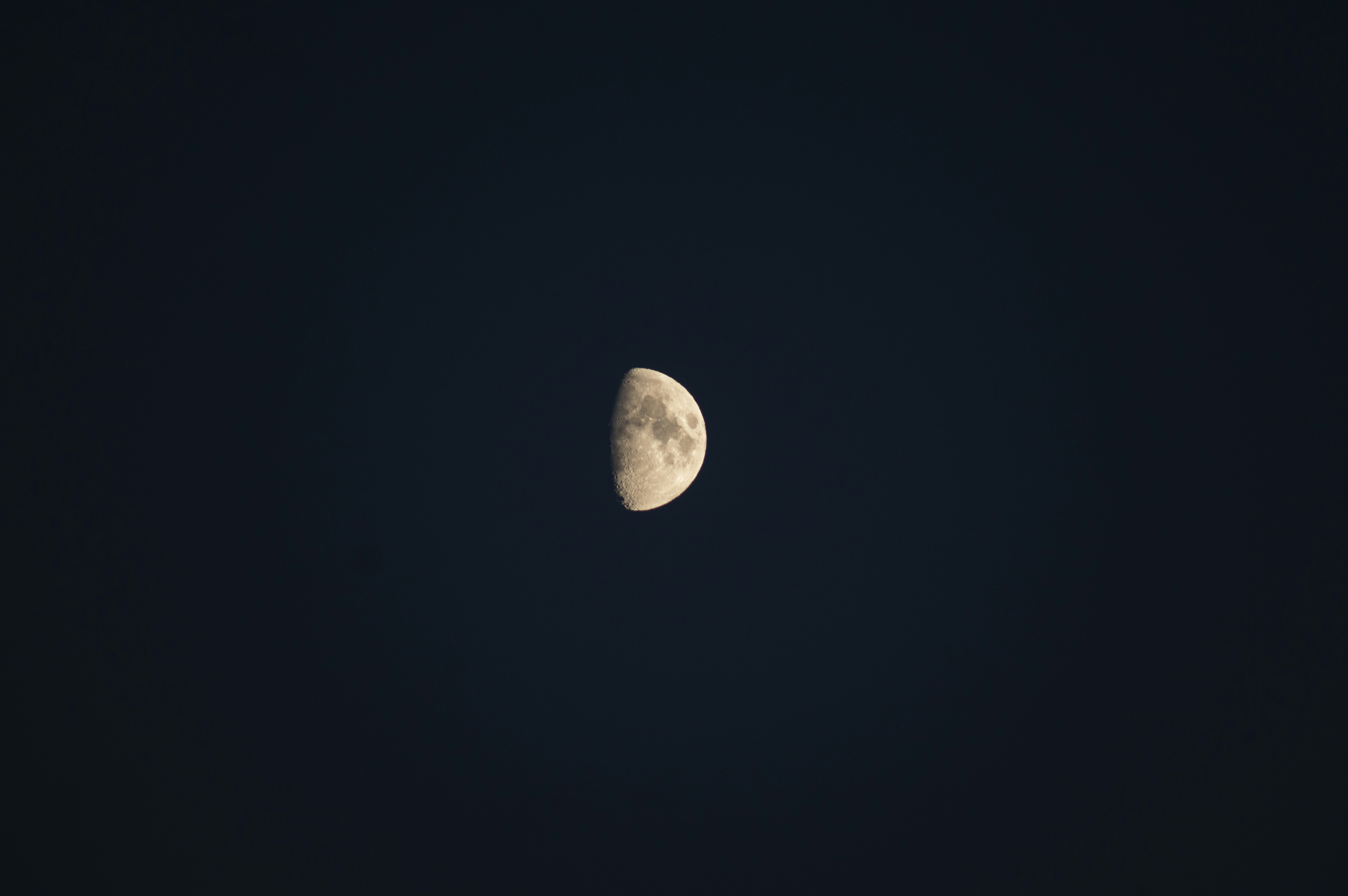 Photo by williamisted