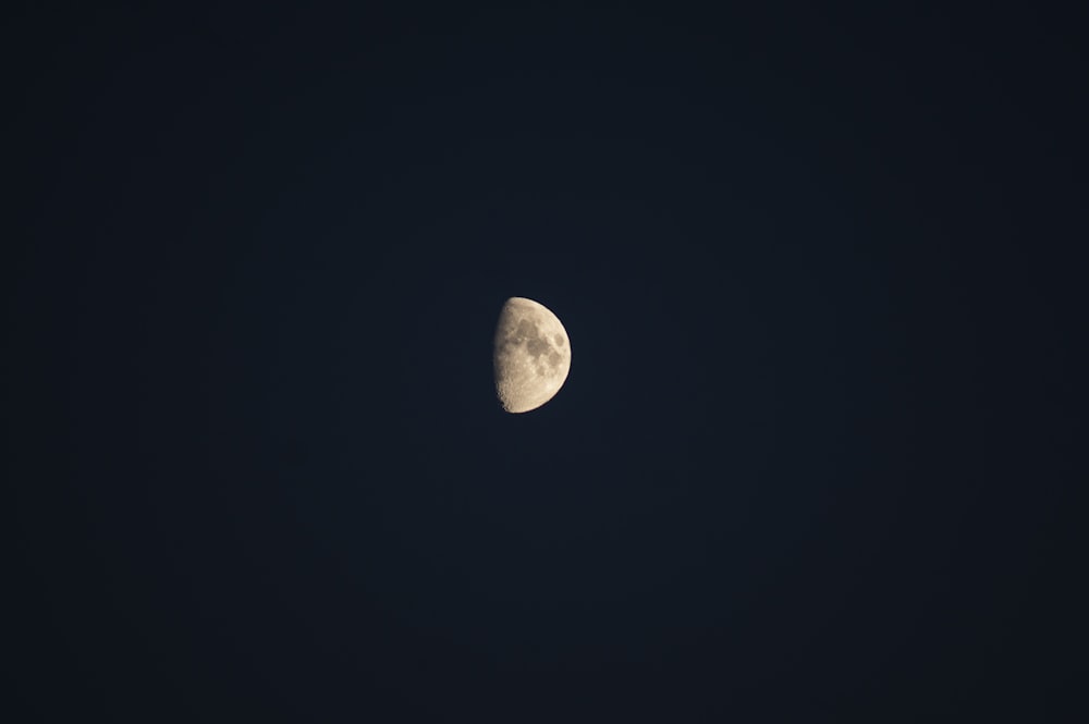 close-up photography of moon