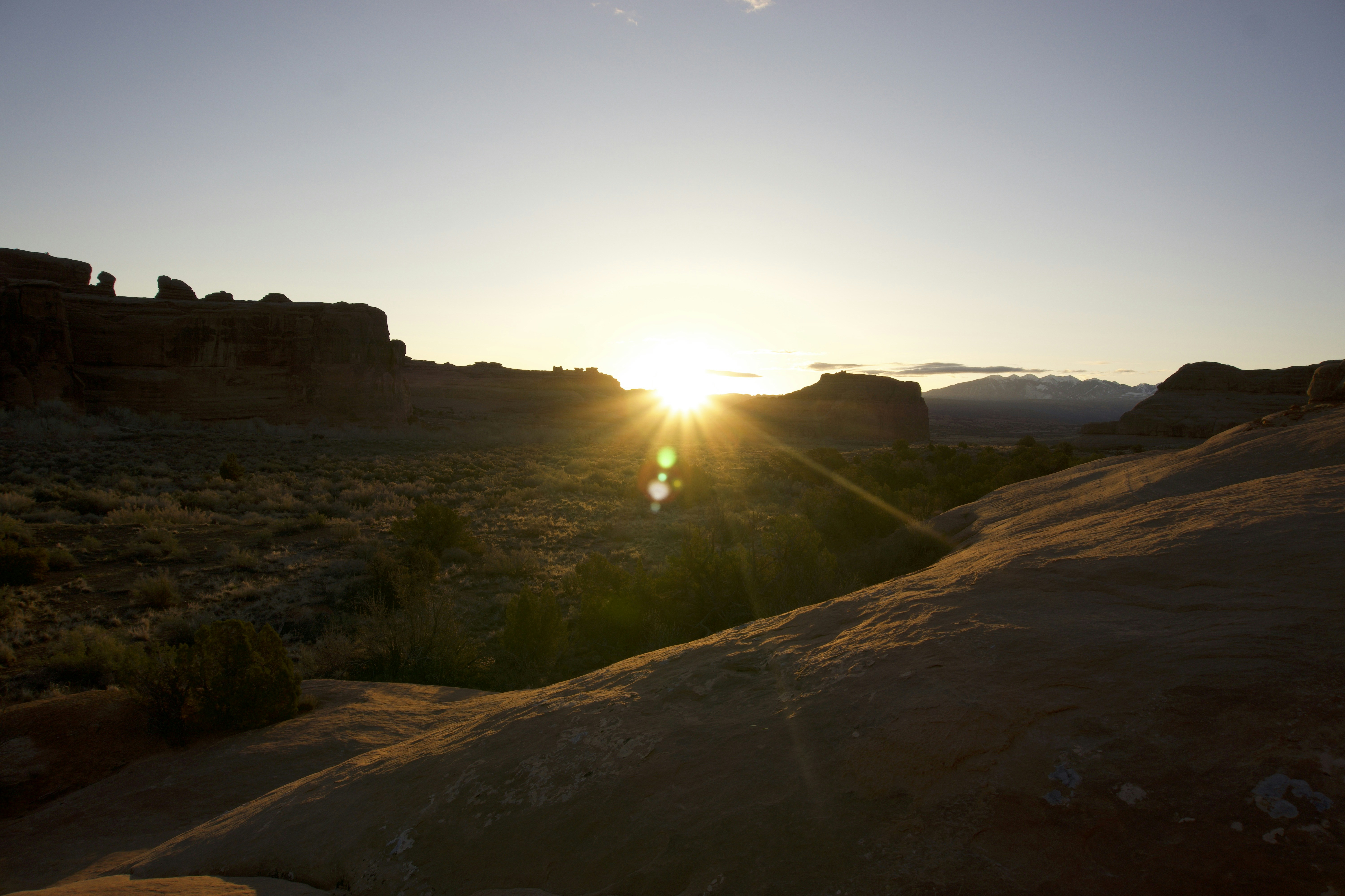 Ivy Mining header image