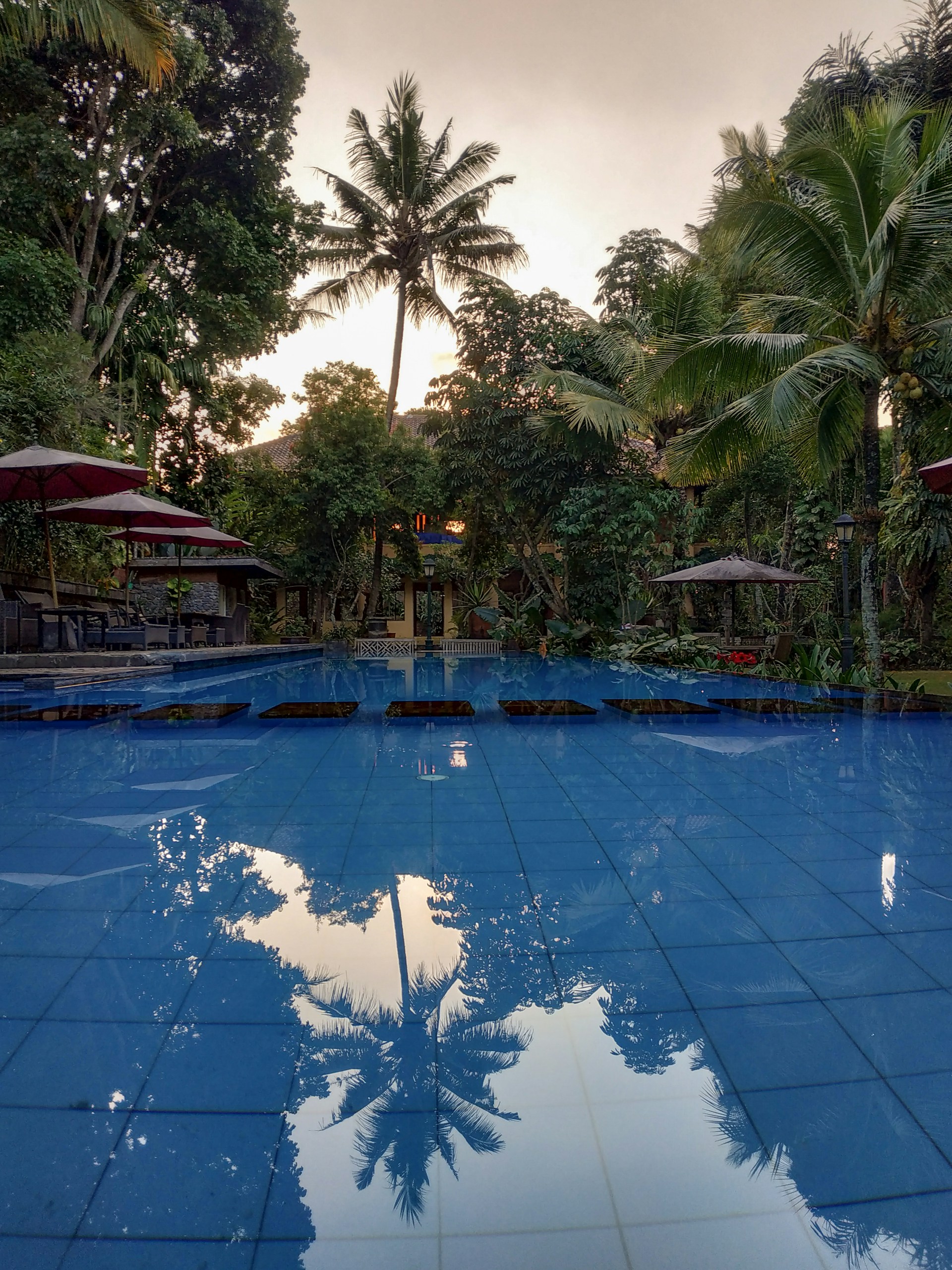 gray computer monitor