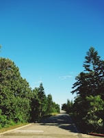 A quiet, empty road winding through lush Hawaiian greenery under a clear blue sky.