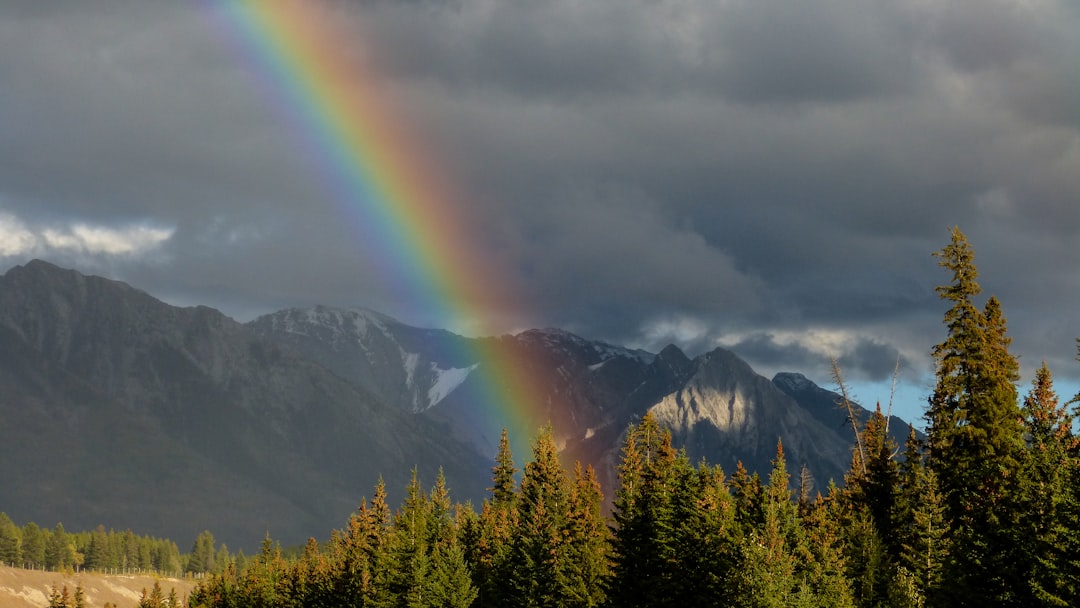 Highland photo spot Banff Ha Ling Peak