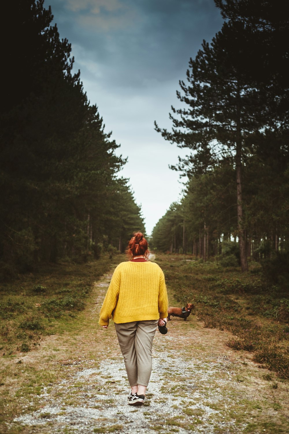 woman standing near adult brown dachshund on road at daytime