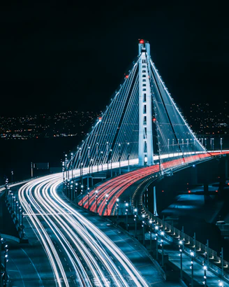 Program Governance & Delivery