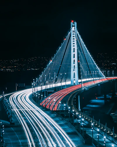 Program Governance & Delivery