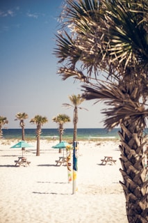 A lively family enjoying a beach picnic on golden sands with turquoise waters and palm trees swaying