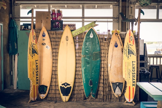six assorted-color surfboards on brown board in Pensacola Beach United States